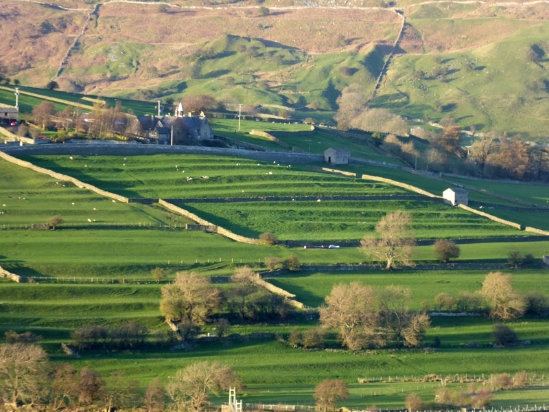 Cultivation Terrace