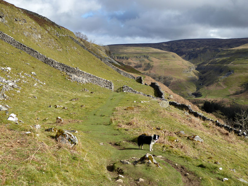 North Gang Scar