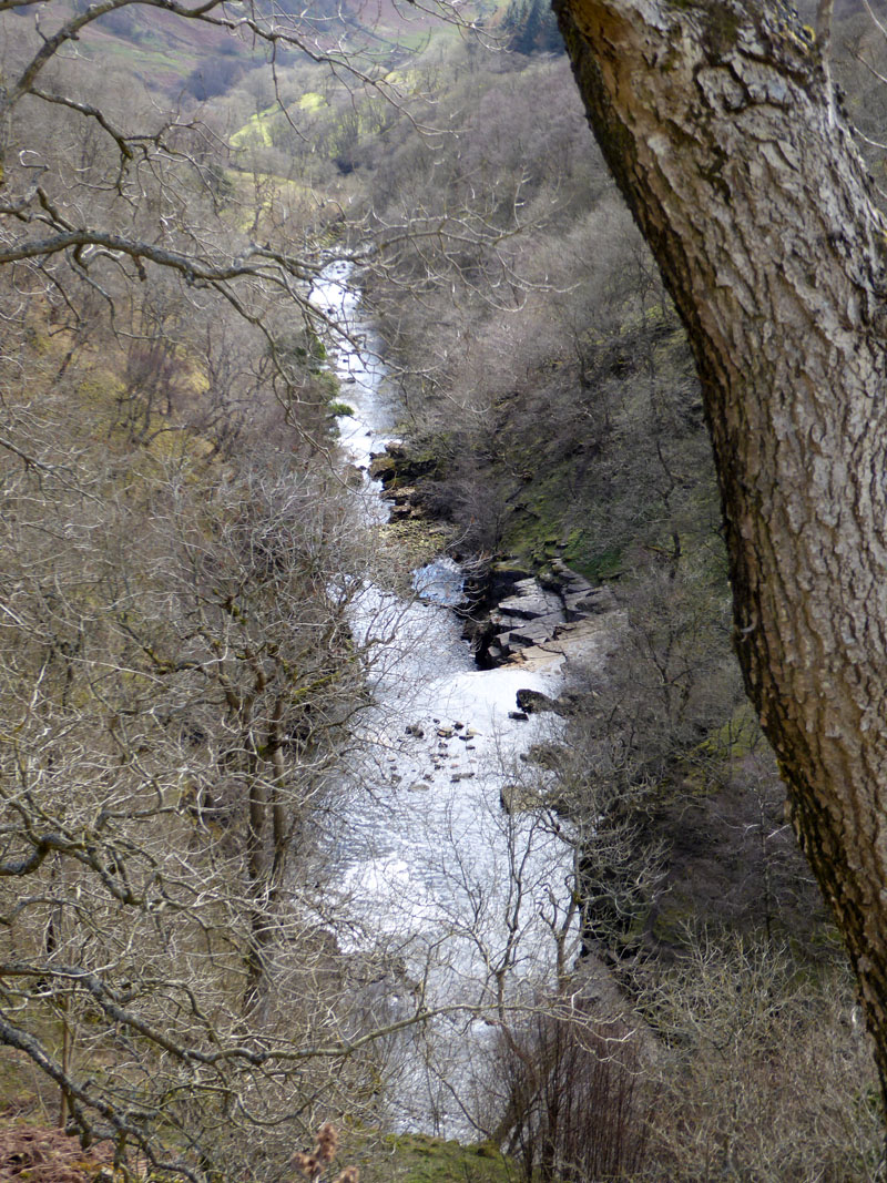 River Swale