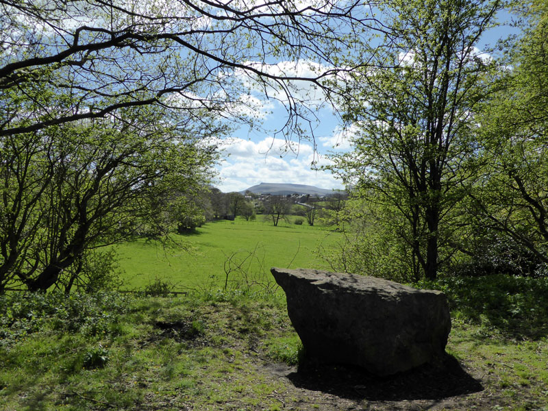 Wild Boar Fell