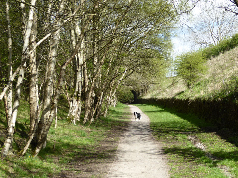 Stainmore line