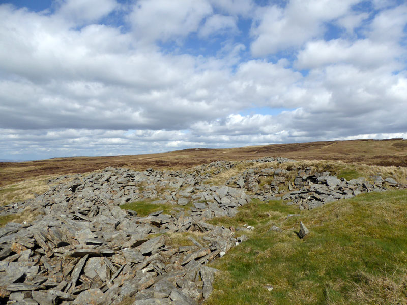 Greyrigg Pits