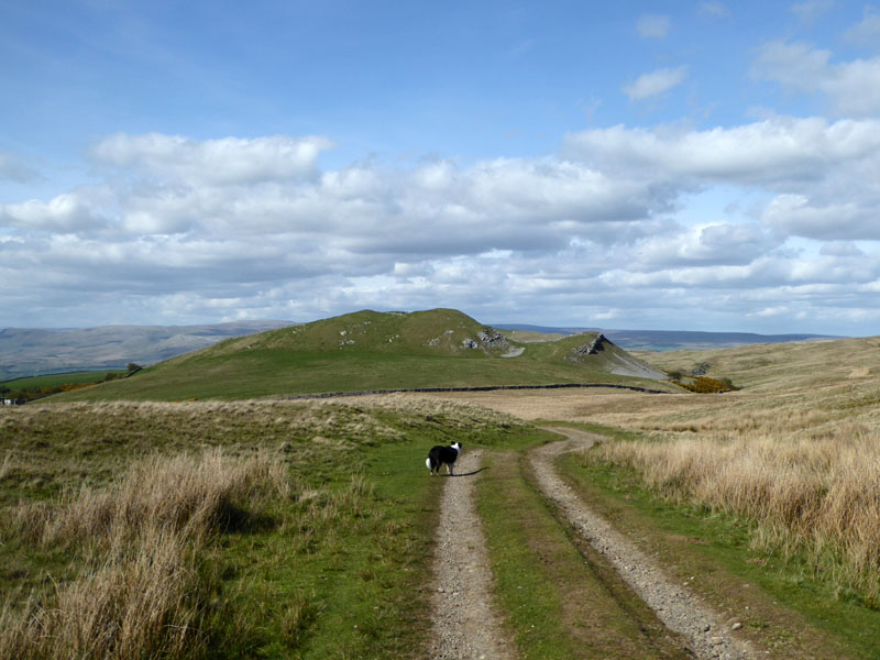 Birkett Hill