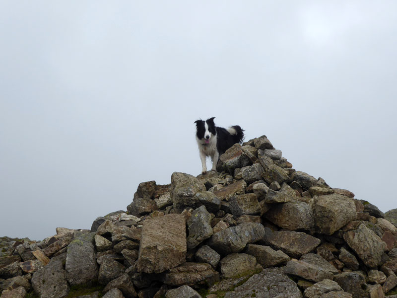 Crinkle Crags Summit