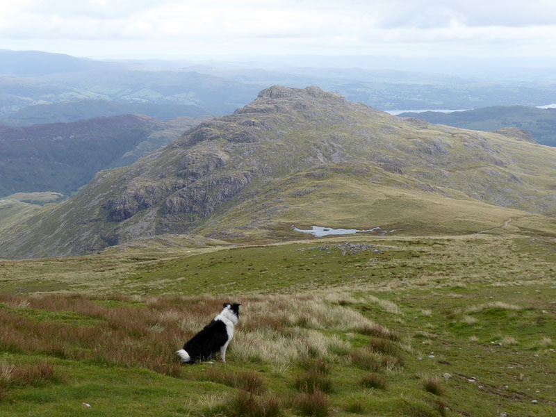 To Pike O'Blisco