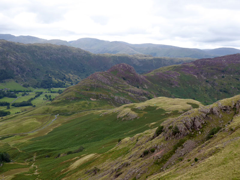 Lingmoor Fell