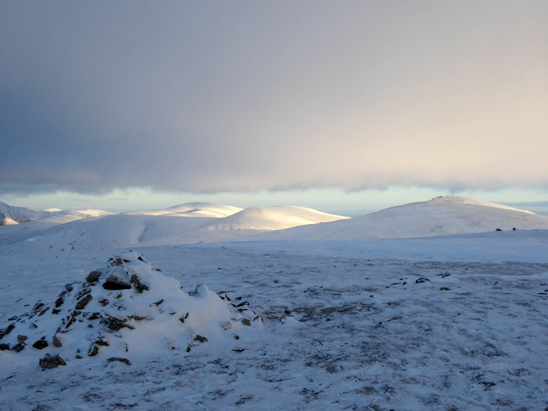 Snowy Dodds