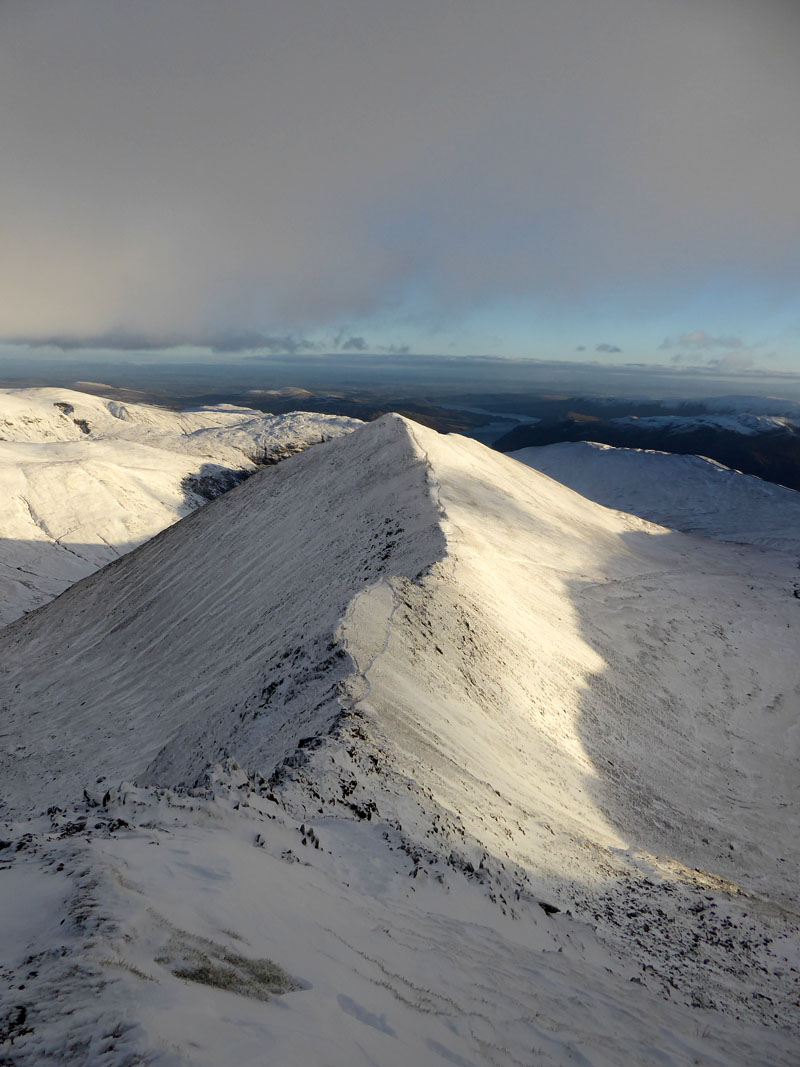 Catstycam