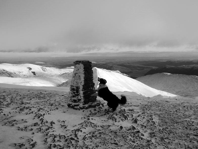 Helvellyn Trig
