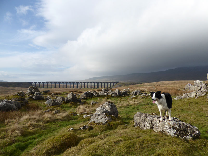 Ribblehead Bridge