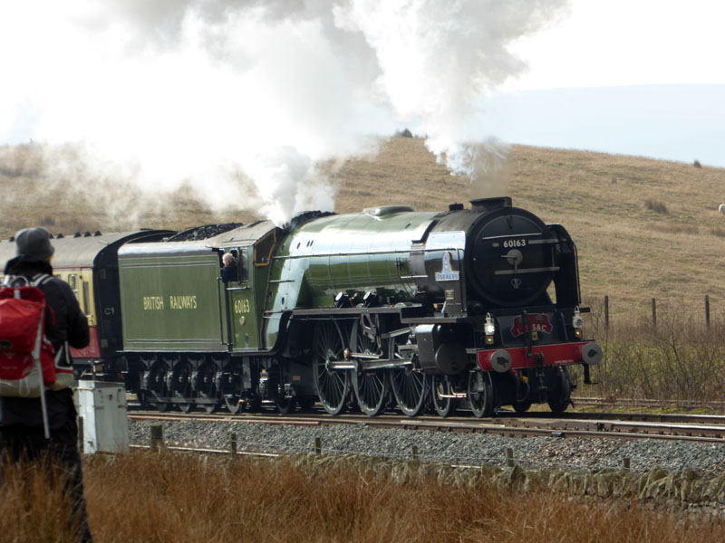 Tornado Steam Train