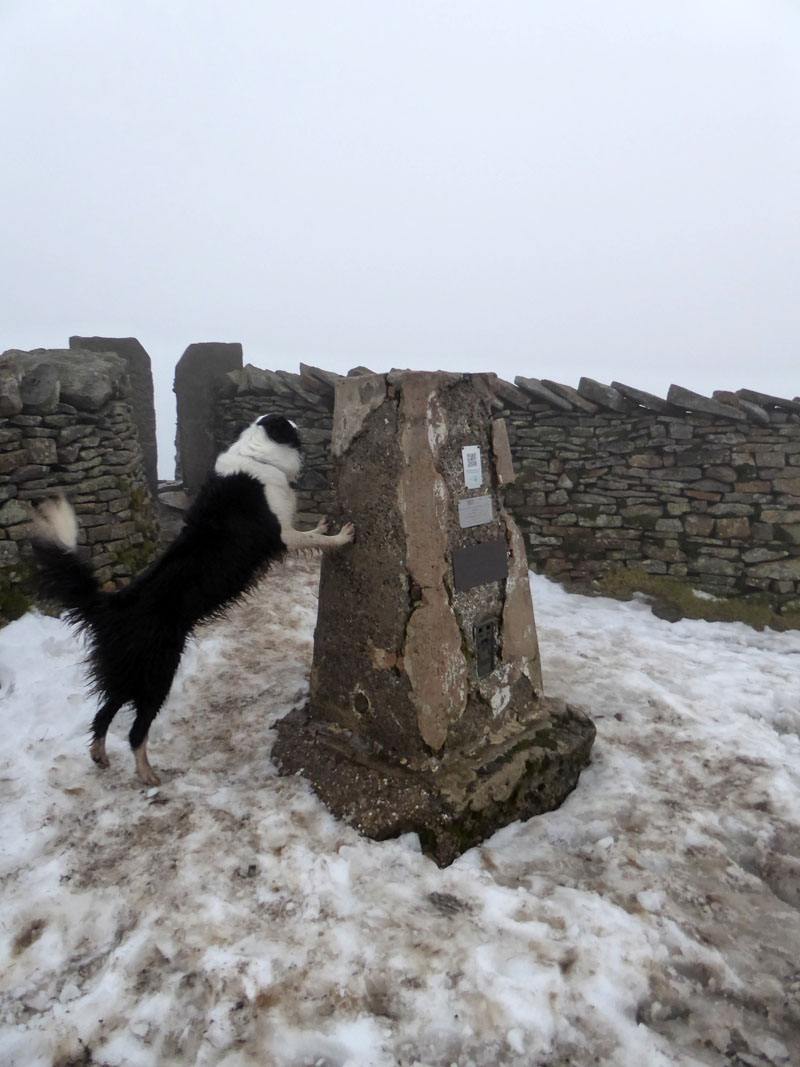 Whernside Summit