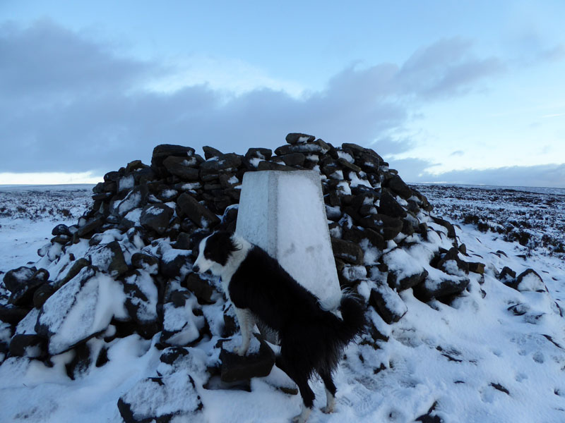 Alphin Pike