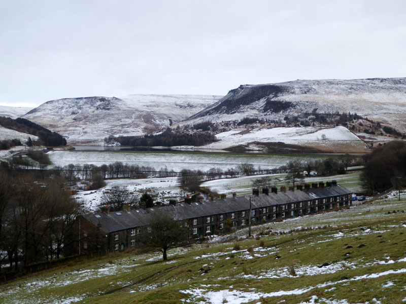 Forty Row Cottages