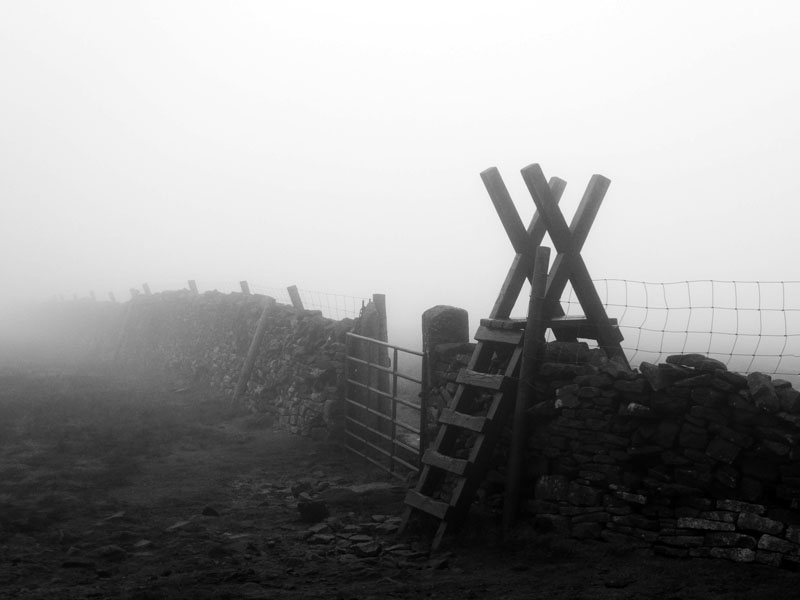 Pendle Mist