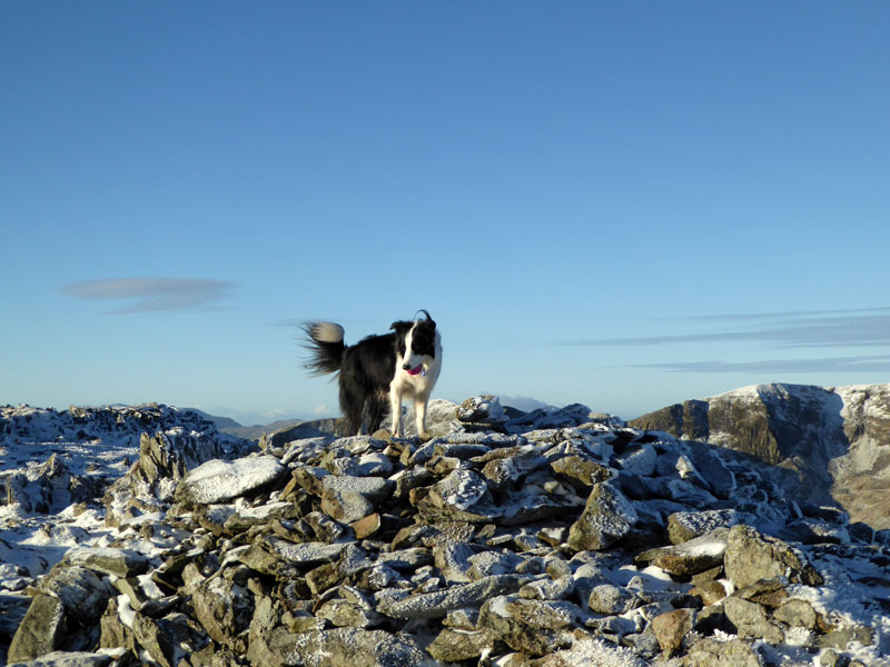 St.Sunday Summit