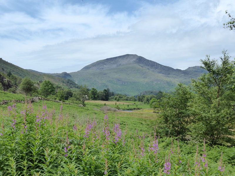 Moel Hebog