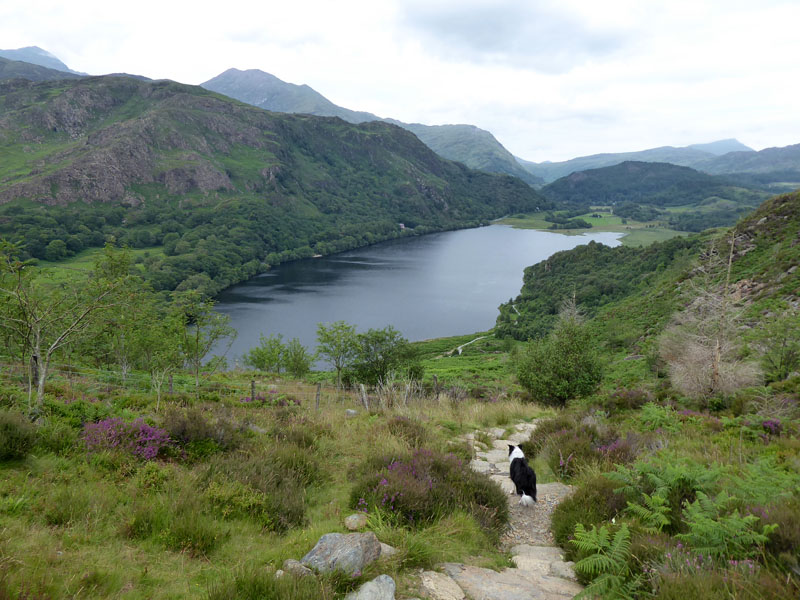 Llyn Dinas