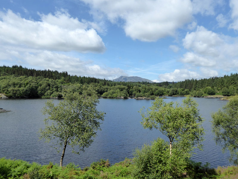 Llyn Elsi