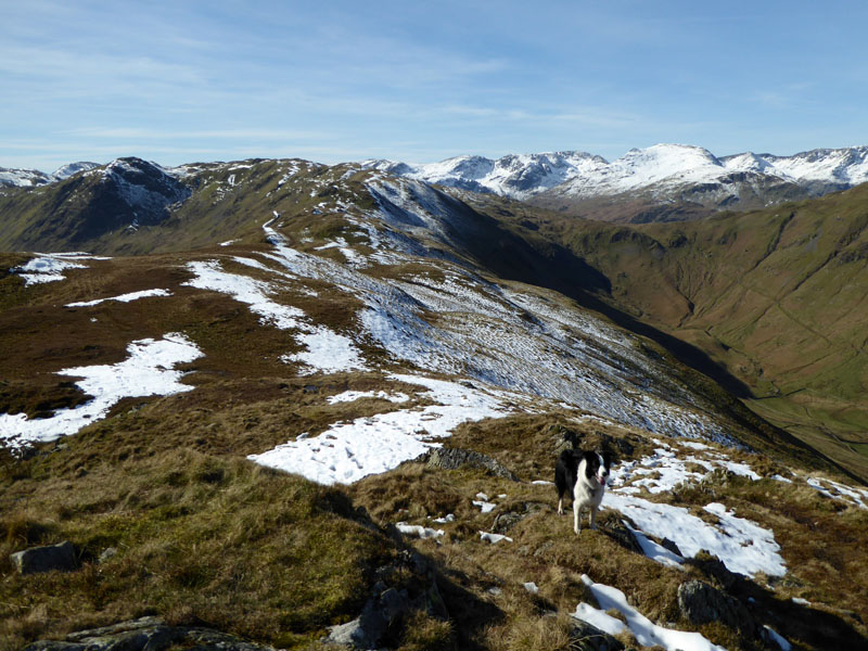 Bedafell Knott