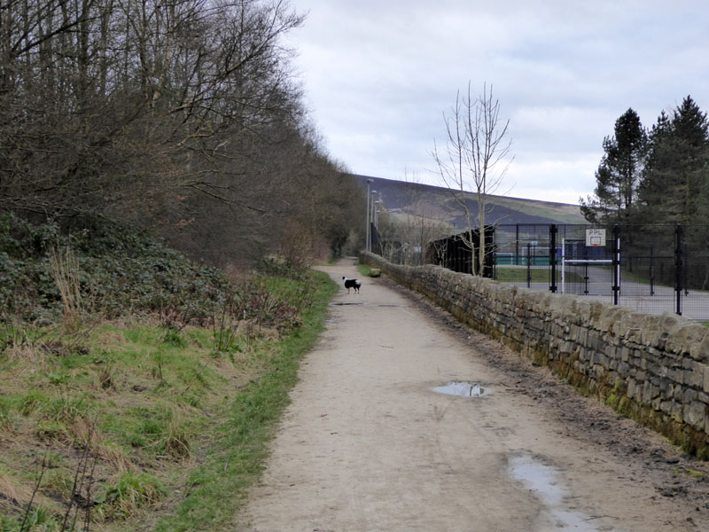 Tame Valley Way