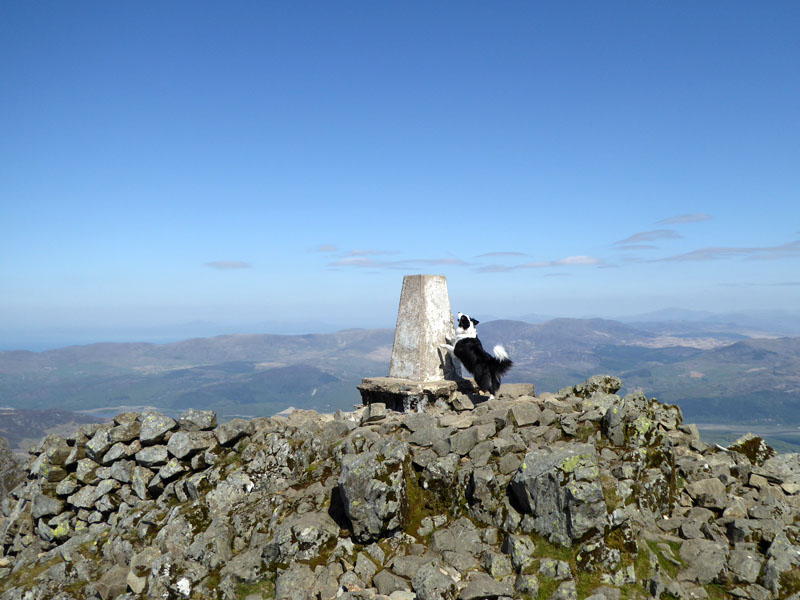 Moel Hebog