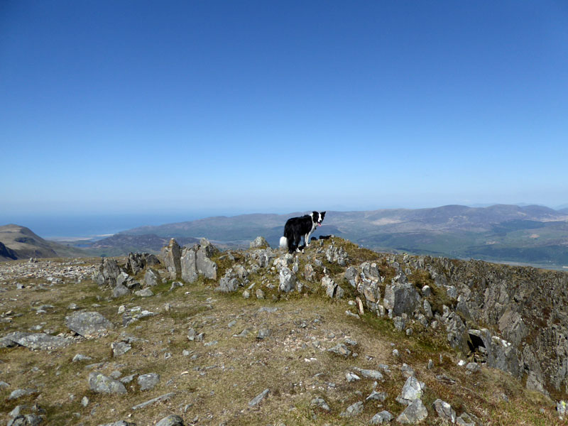 Mynydd Moel Summit