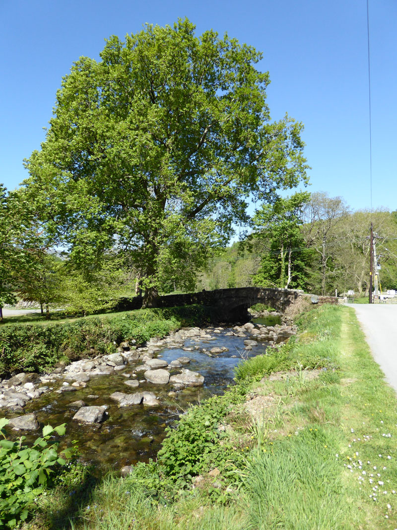 Abergwynant Farm