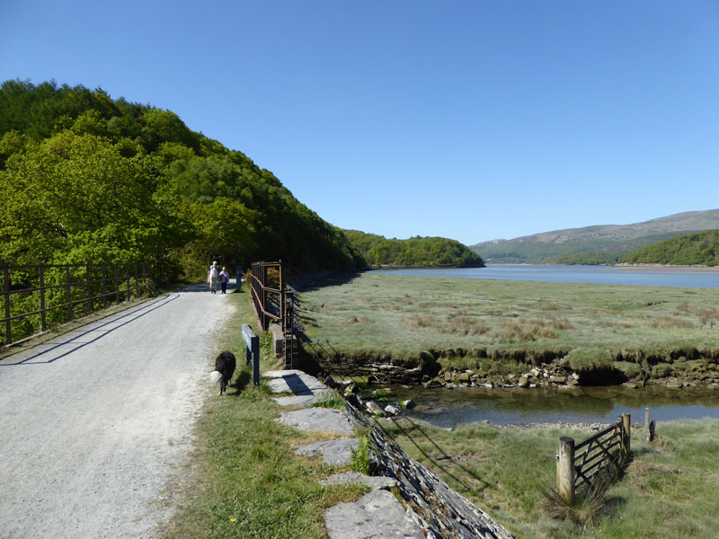 Mawddach Trail