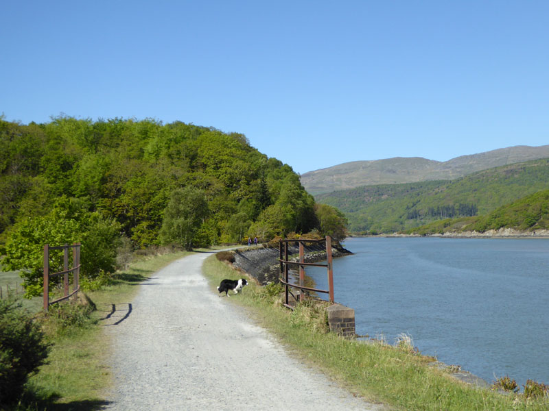 Mawddach Estuary