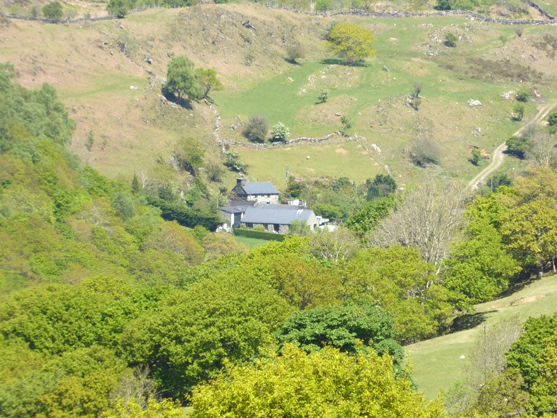 Pant-y-Cae Farm