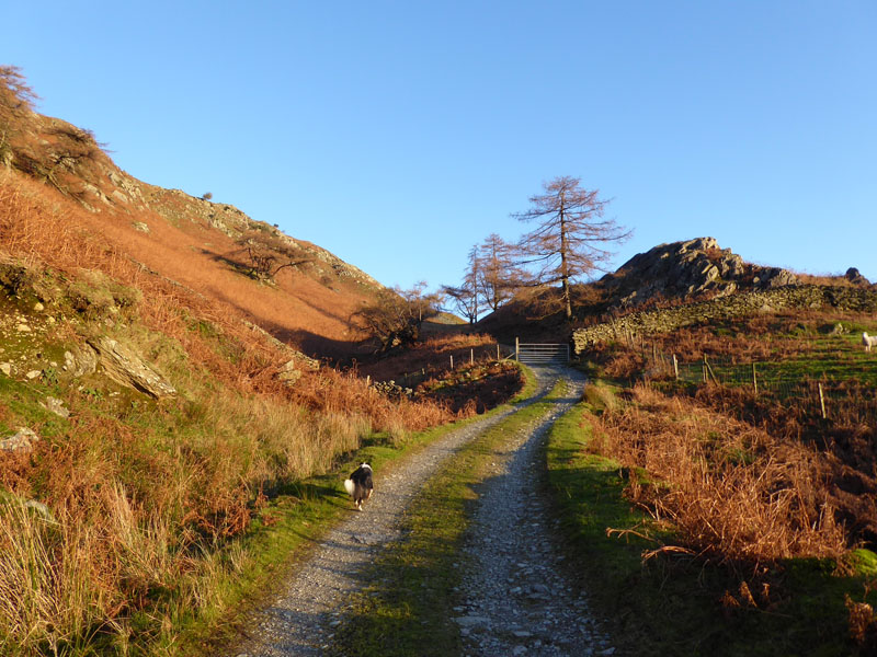 Quarry Road