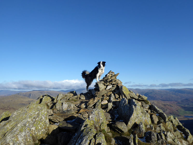 Molly on Great Carrs