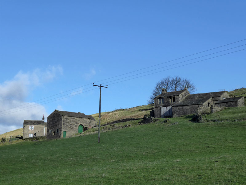 Lady Royd Farm