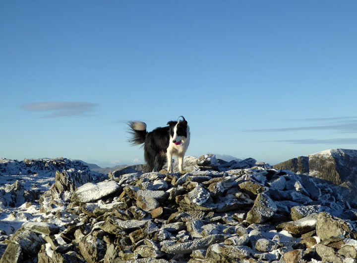 Molly on St.Sunday Crag