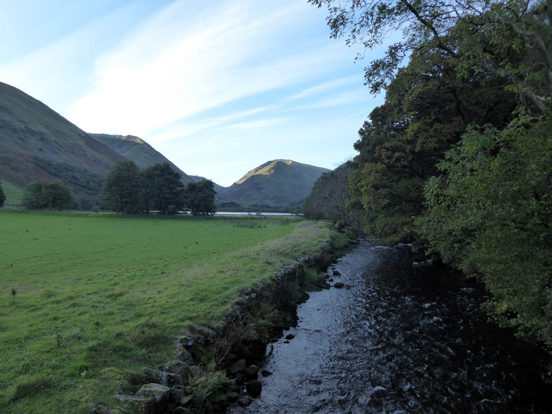 Cow Bridge