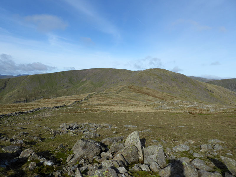 Fairfield Horseshoe