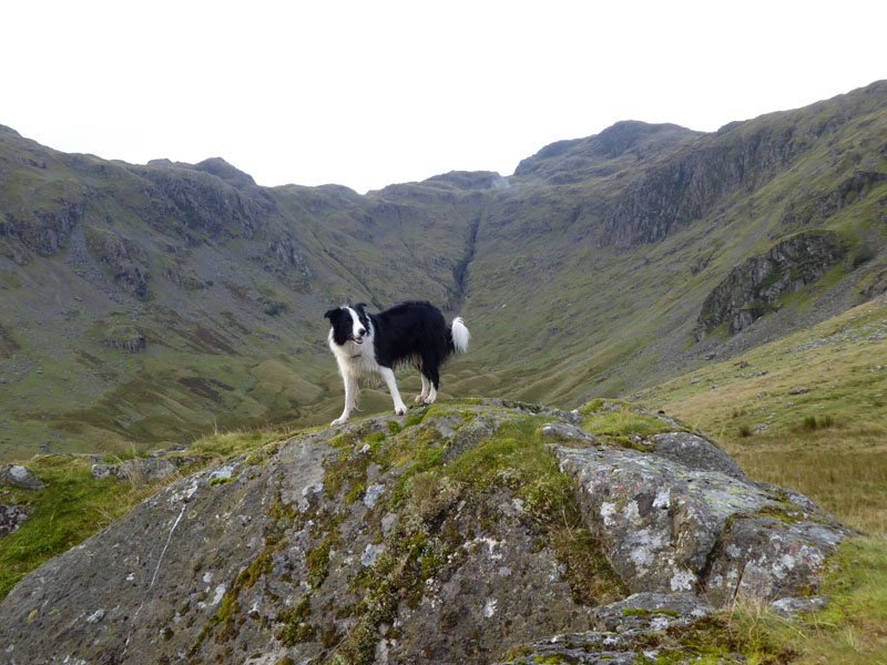 Molly and The Combe