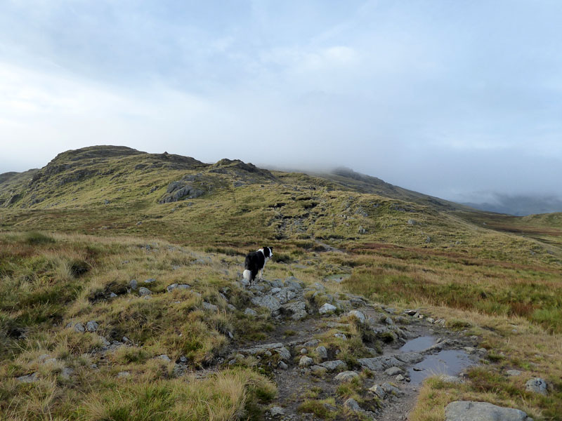 Thornythwaite Fell