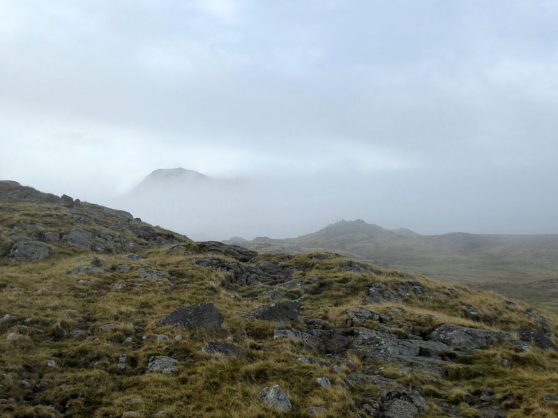 Mountain Mists