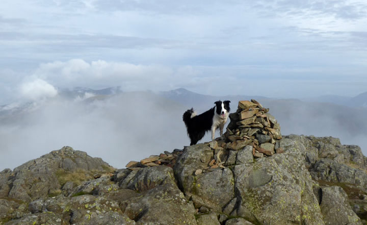 Molly on top of Glaramara