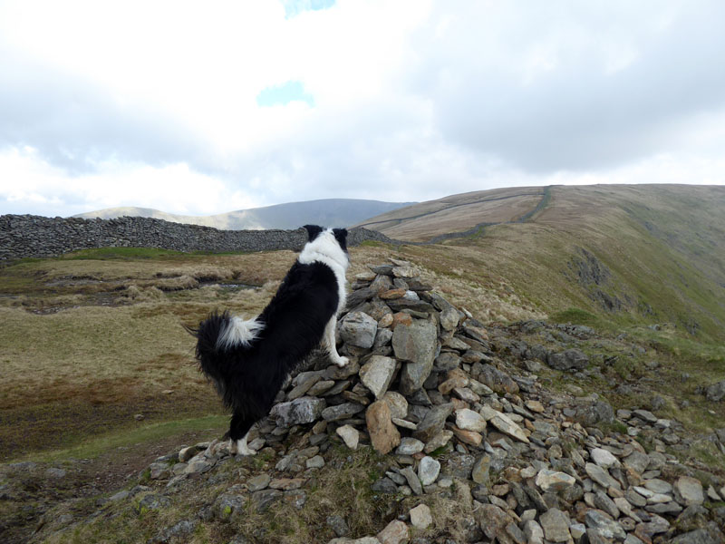 High Pike Summit