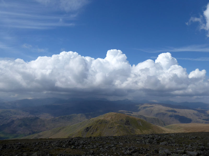 Seat Sandal