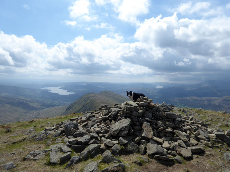 Great Rigg Summit