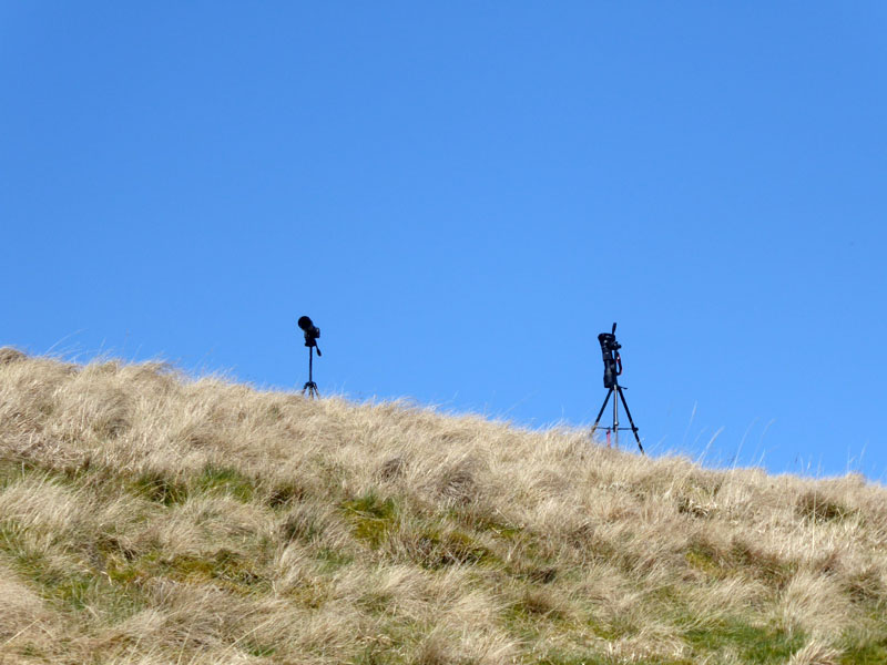 Tripods