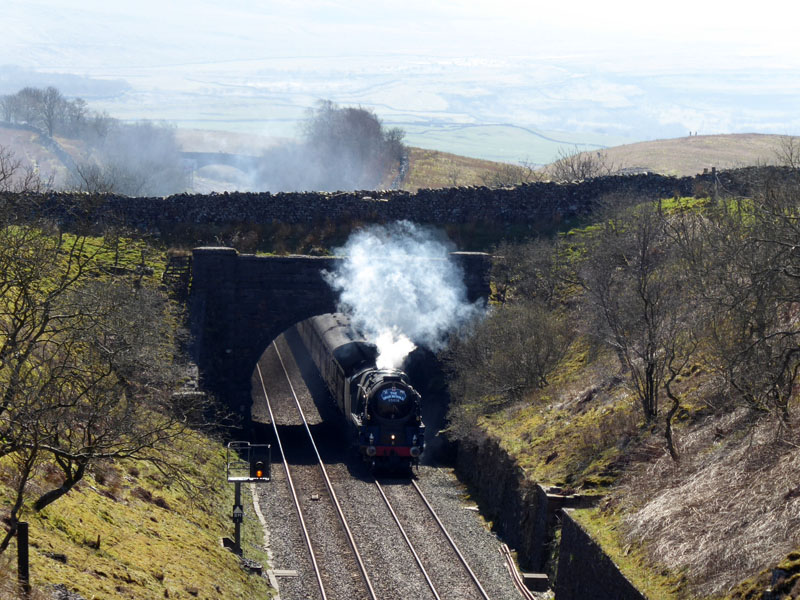 Steam Train