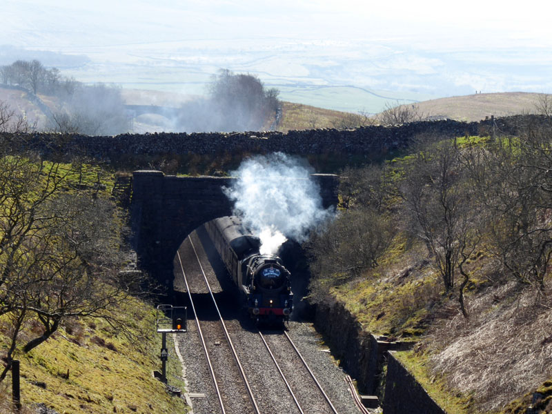 Steam Train