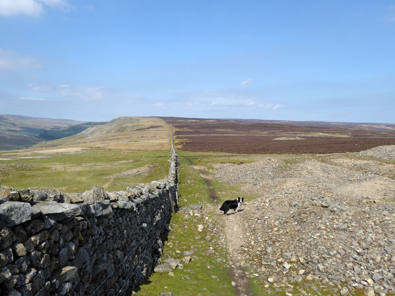 Fremington Edge