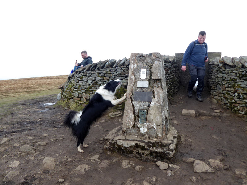 Molly Whernside