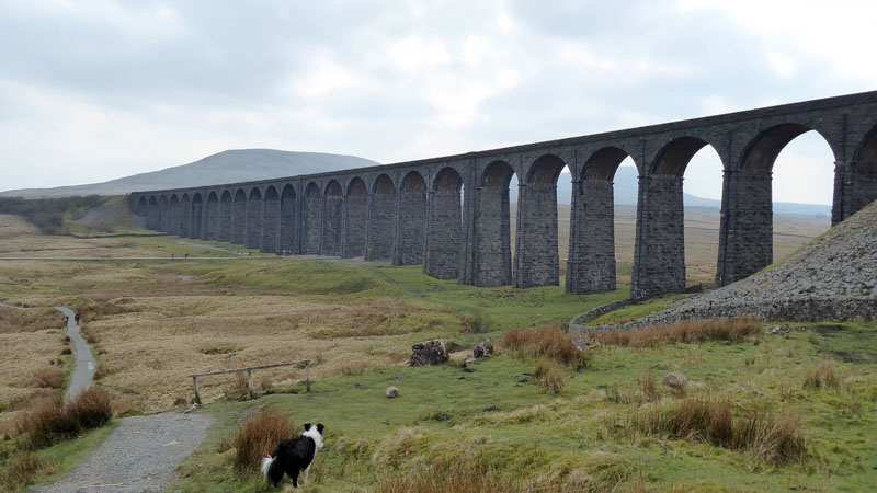 Viaduct of Ribblehead
